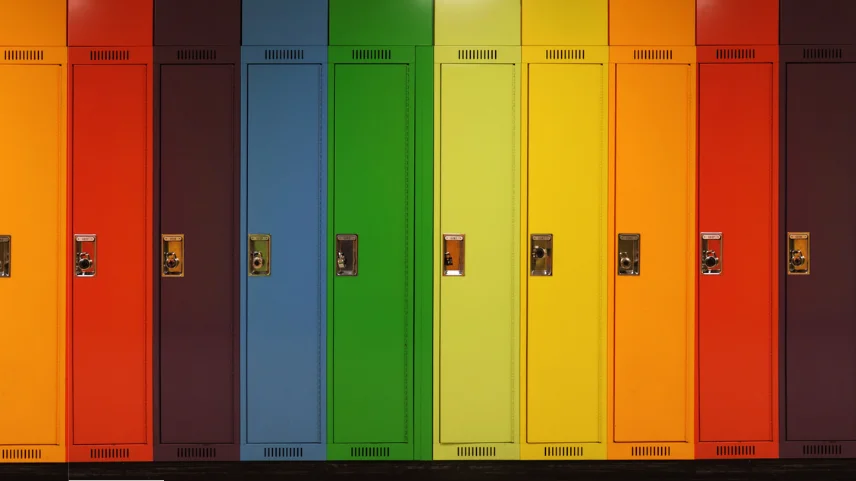 Devlet okulu öğretmenlerine LGBT’li öğrencilere rehberlik için eğitim alma zorunluluğu