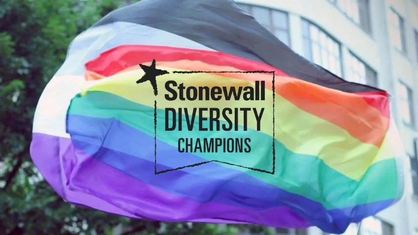 Cass İncelemesinin Ardından LGBT Örgütü Stonewall'a Destek Azaldı