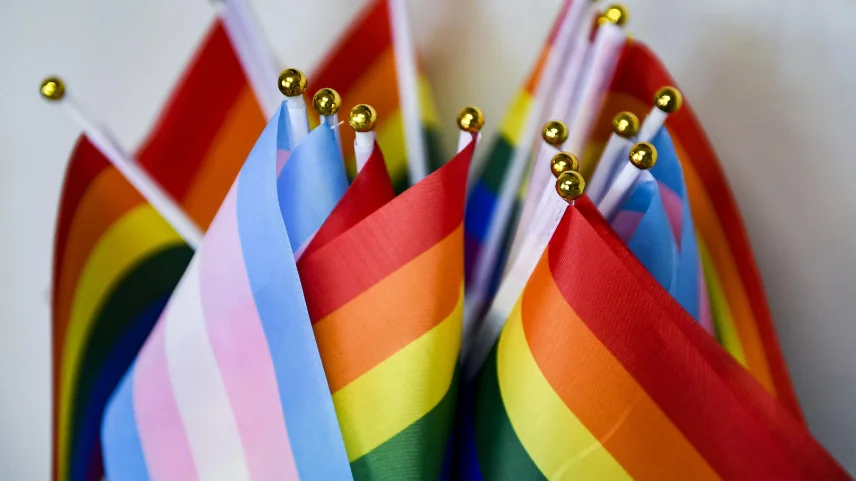 Cinsel yönelim sembolleri: LGBT bayrakları ve taşıdıkları anlamlar