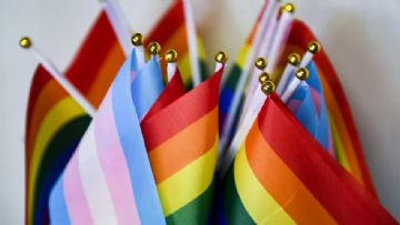 Cinsel Yönelim Sembolleri: LGBT Bayraklari ve Anlamlari