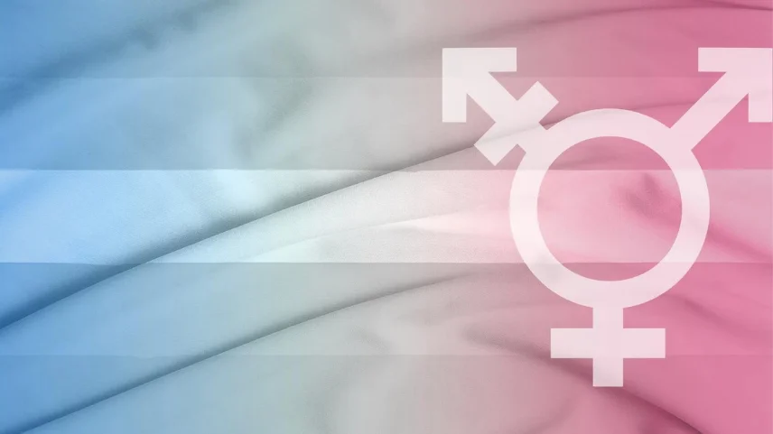 Araştırma: Cinsiyet Disforisi Tedavisinde Ergenlik Önleyiciler ve Karşı Cinsiyet Hormonları