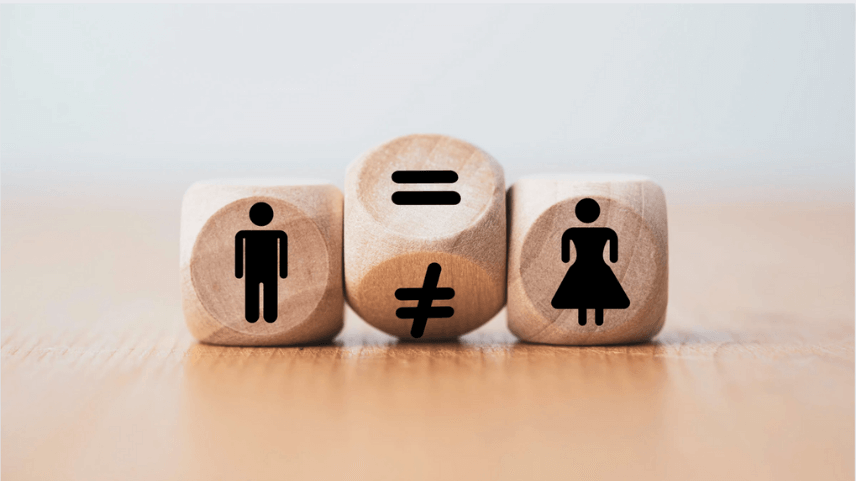 Eşitlikten Öte: 'Gender' Kavramı ve LGBT Hareketi ile Kesişimi