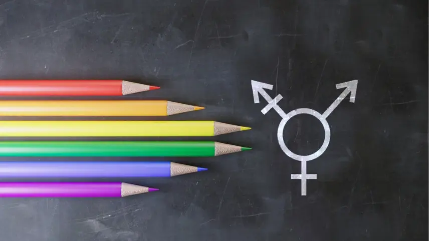 Hızlı başlangıçlı cinsiyet disforisi ile transseksüel olduğunu ilan eden genç kızın annesinden kızının okuluna mektup