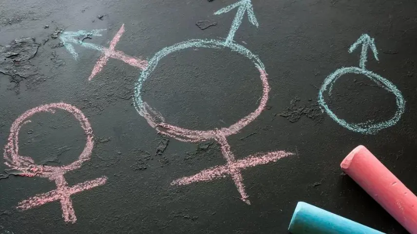 İngiltere'de bir üniversite transseksüel araştırmalarını engelliyor