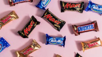 Mars Inc. LGBT'yi Destekliyor mu?