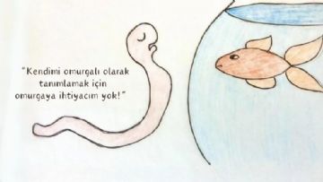 Trans Ideolojisindeki Çeliskilerin Tamamlanmamis Bir Listesi