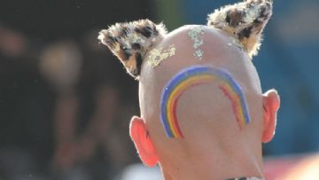 Transgender ve Cisgender Ergenlerde Çocukluk Çagi Istismari