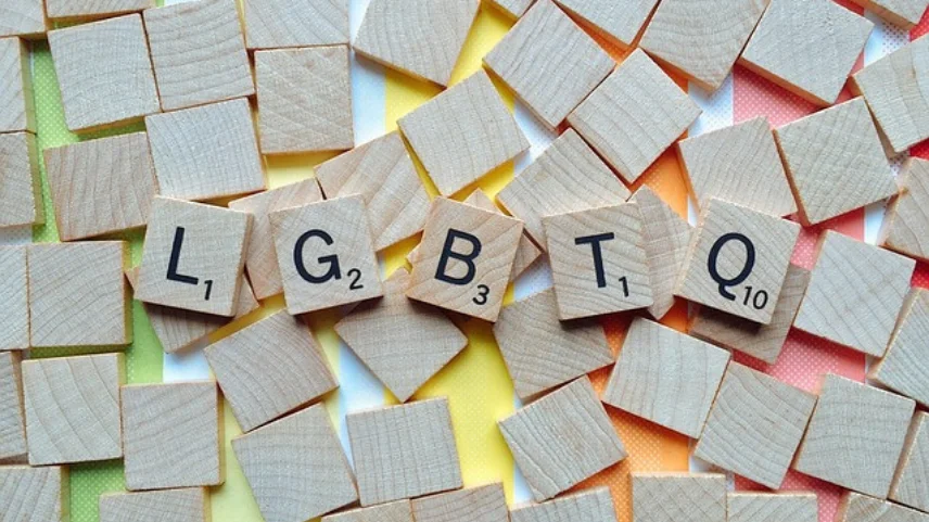 Transgenderizm: İyi finanse edilmiş sosyal ve tıbbi bir deney