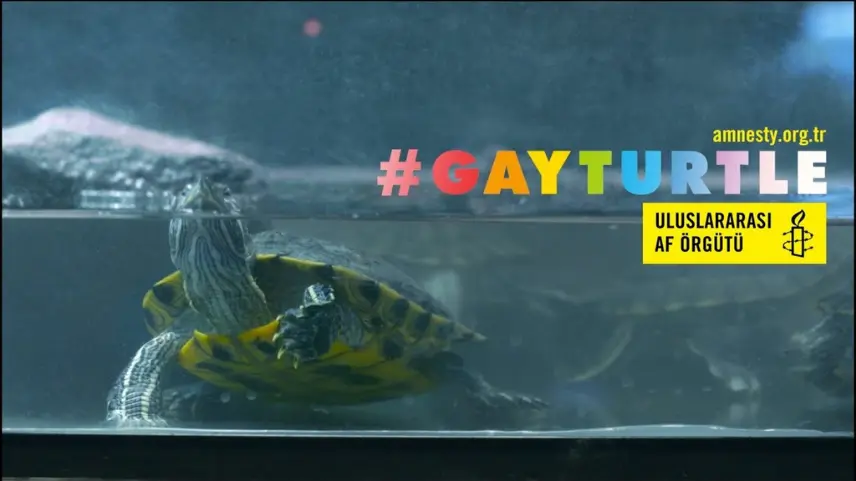 Uluslararası Af Örgütü ve LGBT Temalı Reklam Kampanyaları