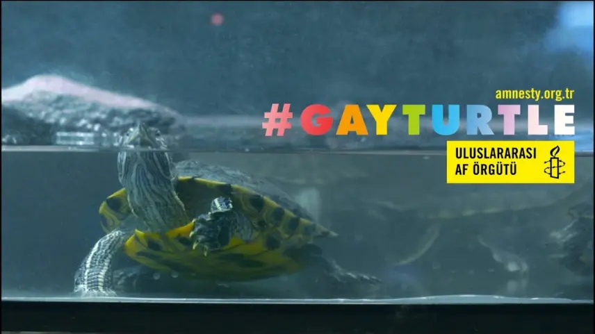 Uluslararası Af Örgütü LGBT'yi Destekliyor mu?