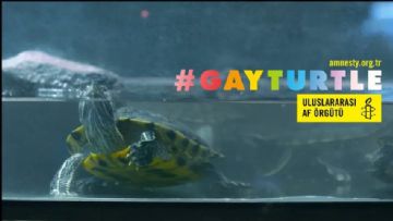 Uluslararası Af Örgütü LGBT'yi Destekliyor mu?