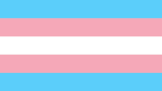Trans bayrağı