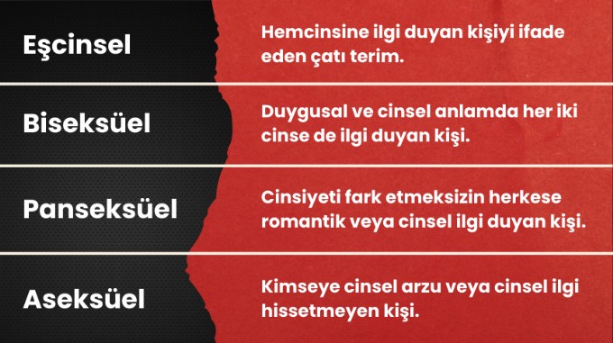 Cinsel yönelim türleri