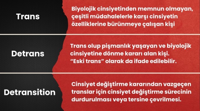 detransition nedir