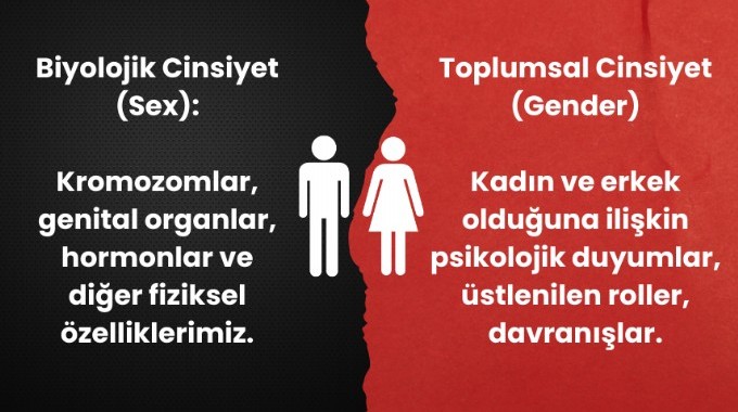 biyolojik cinsiyet toplumsal cinsiyet farkı