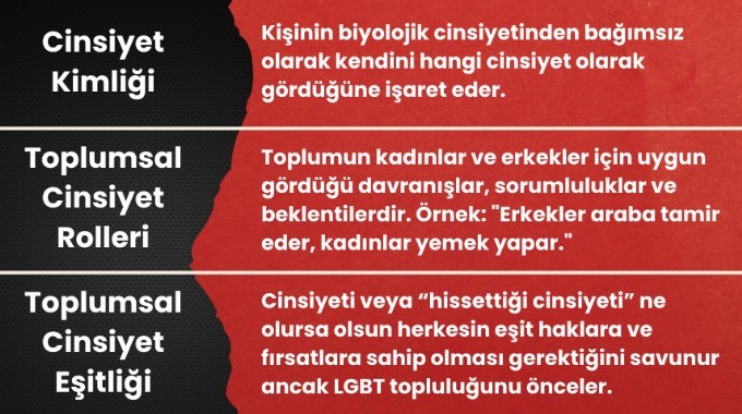 toplumsal cinsiyet rolleri toplumsal cinsiyet eşitliği
