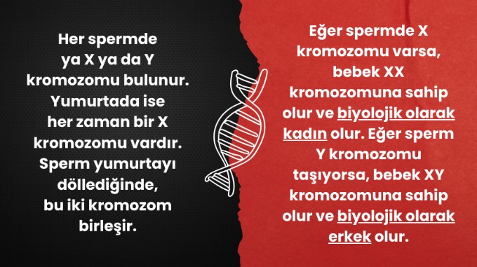 atanmış cinsiyet