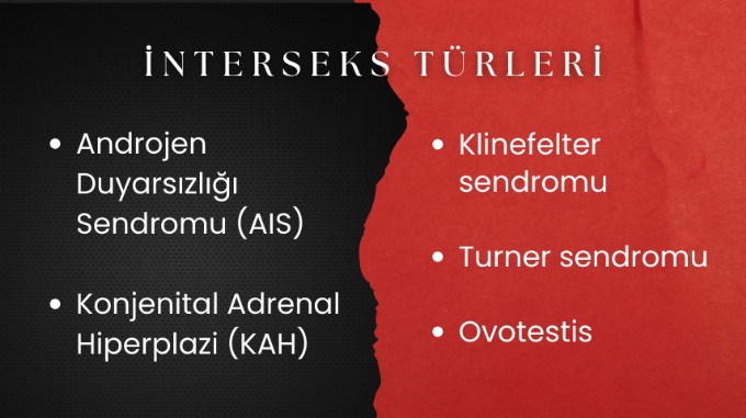 İnterseks türleri