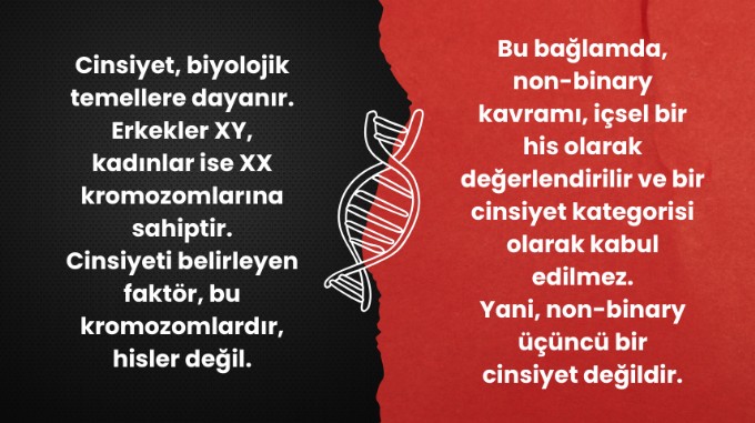 Nonbinary ne demek